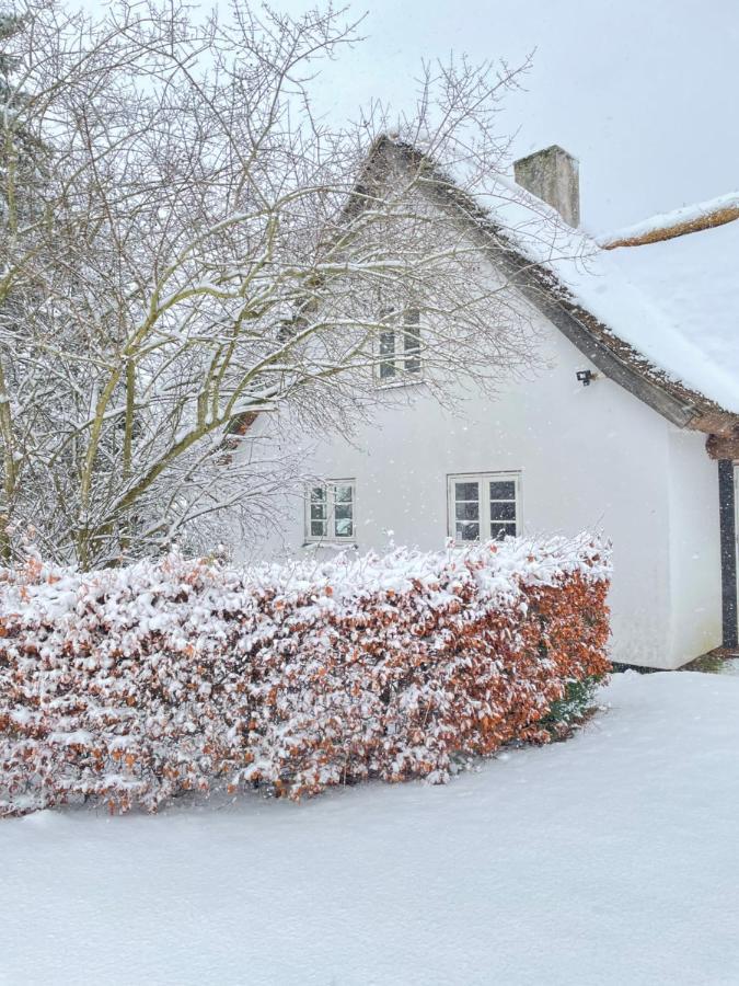 Apple Cottage Vejby 외부 사진