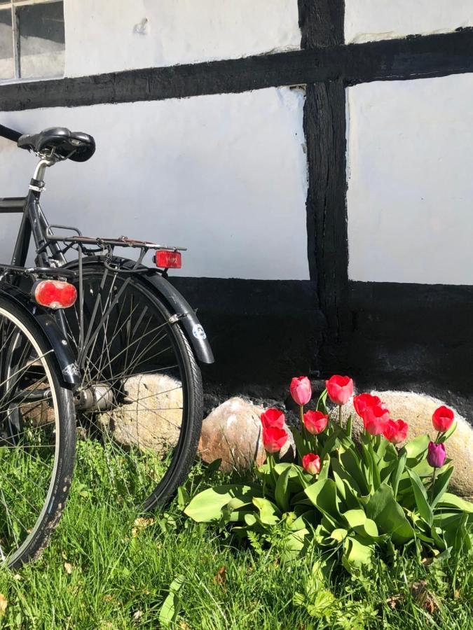 Apple Cottage Vejby 외부 사진