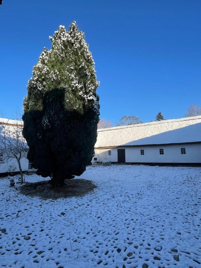 Apple Cottage Vejby 외부 사진