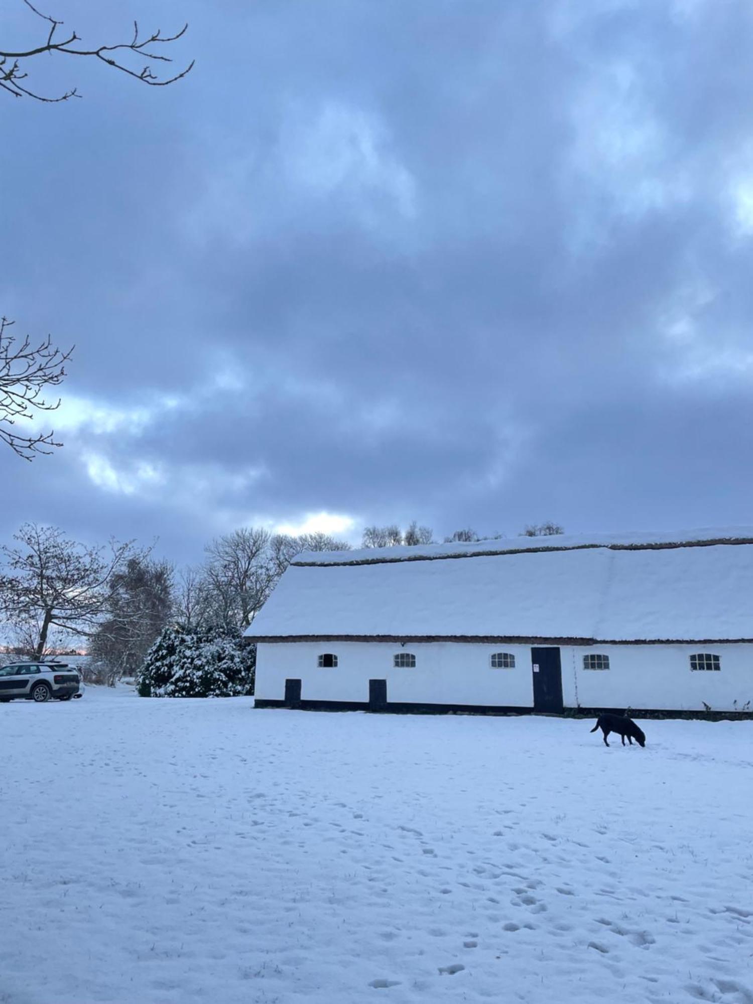 Apple Cottage Vejby 외부 사진