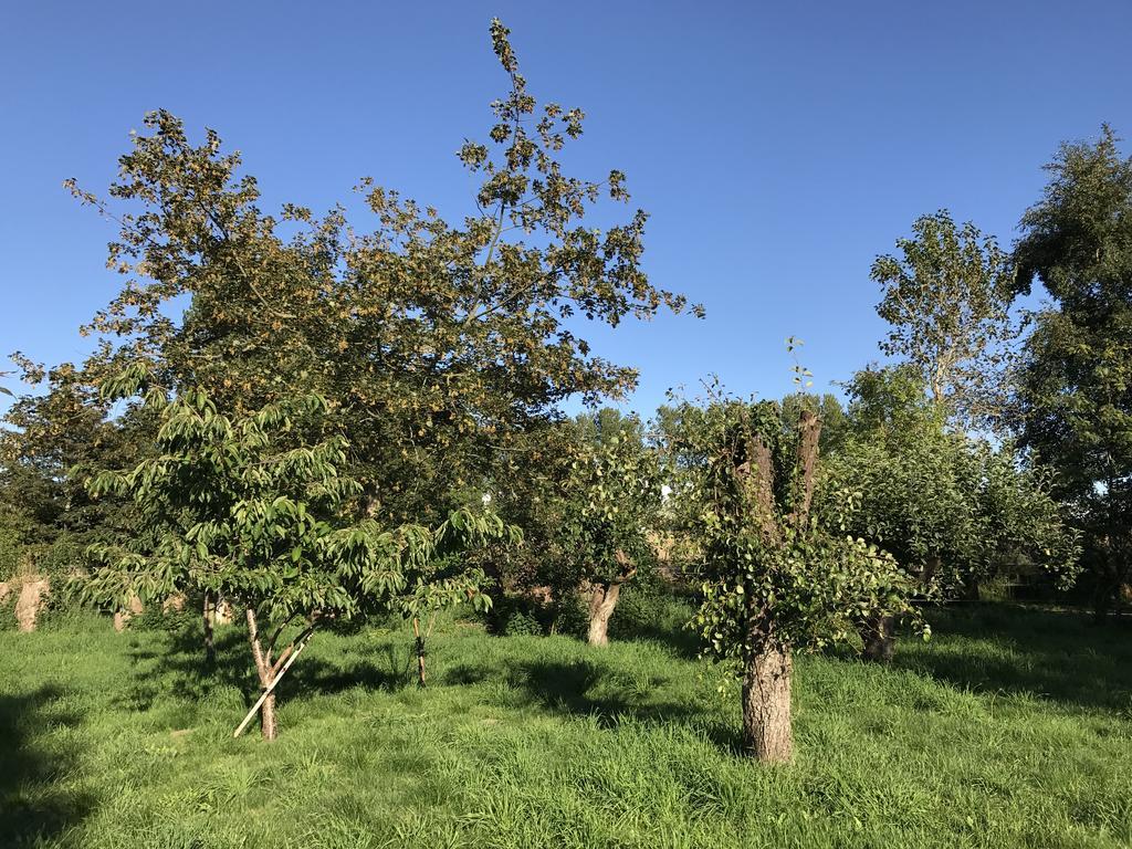 Apple Cottage Vejby 외부 사진